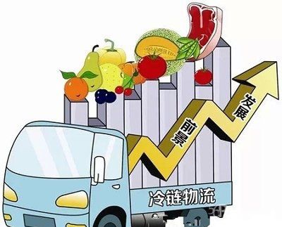 生鲜食品冷链物流体系探究