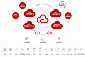 2022年中国物流软件市场分析与2023 年展望— 访上海富勒信息科技有限公司副总裁张竑伟先生